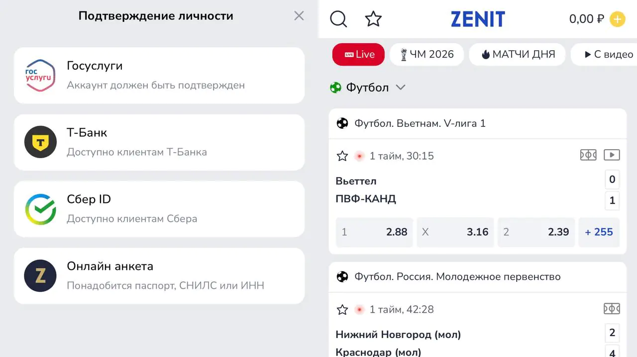 Zenit Gosuslugi login screen